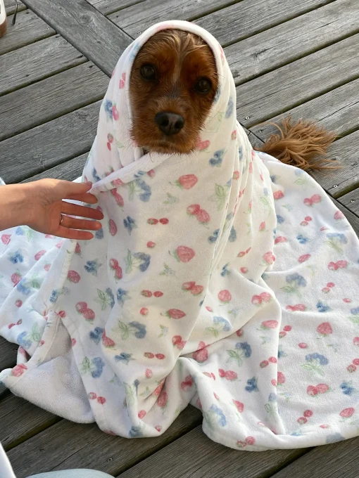 Best Djerf Avenue Summer Berries Towel